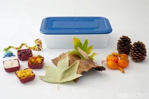 Fall_sensory_box_materials