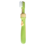 cepillo_dental_bebe_paso3_pigeon_zuga
