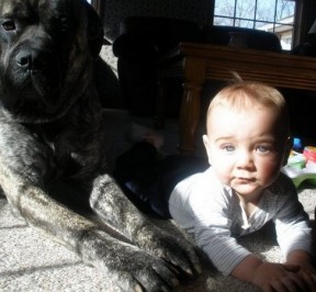 enhanced-buzz-19342-1321629597-29