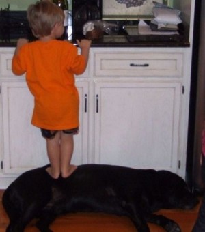 enhanced-buzz-405-1321629568-7