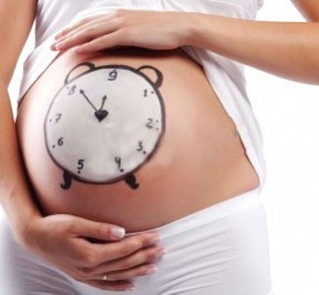 zuga-tercer-trimestre