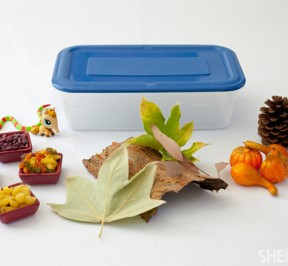 Fall_sensory_box_materials