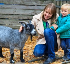 zuga-vamos-al-zoologico